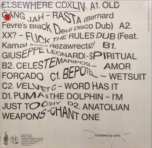 Elsewhere CDXLIV 2LP Plak - Görsel 2