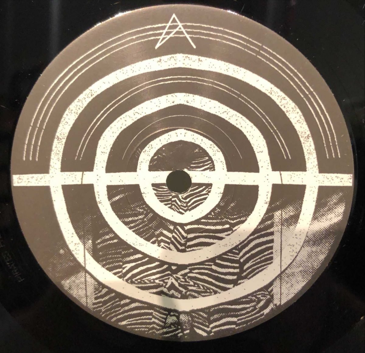 The Entrance Band ‎– Face The Sun LP Plak - Görsel 3