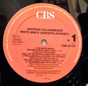 Andreas Vollenweider – White Winds LP Plak - Görsel 2