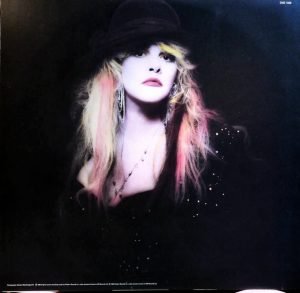 Stevie Nicks ‎– The Other Side Of The Mirror LP Plak - Görsel 3