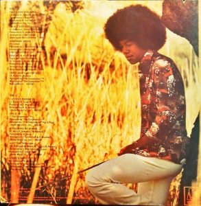 Jermaine Jackson ‎– Jermaine LP Plak - Görsel 4