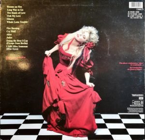 Stevie Nicks ‎– The Other Side Of The Mirror LP Plak - Görsel 4