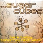 The Sugarcubes – Here Today, Tomorrow Next Week! LP Plak