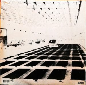 Useless Eaters – Temporary Mutilation 10" LP Plak - Görsel 2