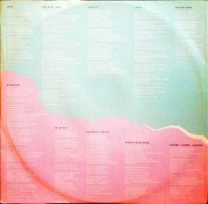Nena – Feuer Und Flamme LP Plak - Görsel 4