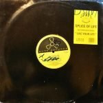 Splice Of Life – Live Your Life 12'' Maxi Single Plak
