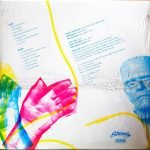Subsonics ‎– Flesh Colored Paint LP Plak - Görsel 2