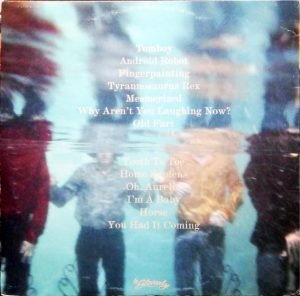 Acid Baby Jesus – Acid Baby Jesus LP Plak - Görsel 3