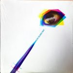 Subsonics ‎– Flesh Colored Paint LP Plak