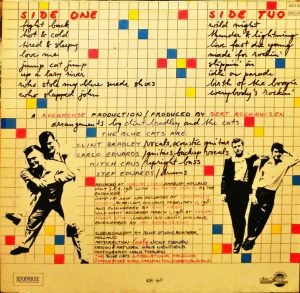 The Blue Cats – Fight Back LP Plak - Görsel 2