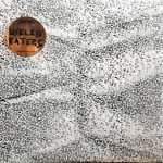 Useless Eaters – Temporary Mutilation 10" LP Plak
