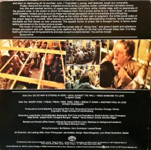 Curtis Mayfield – Short Eyes - The Original Picture Soundtrack LP Plak - Görsel 4