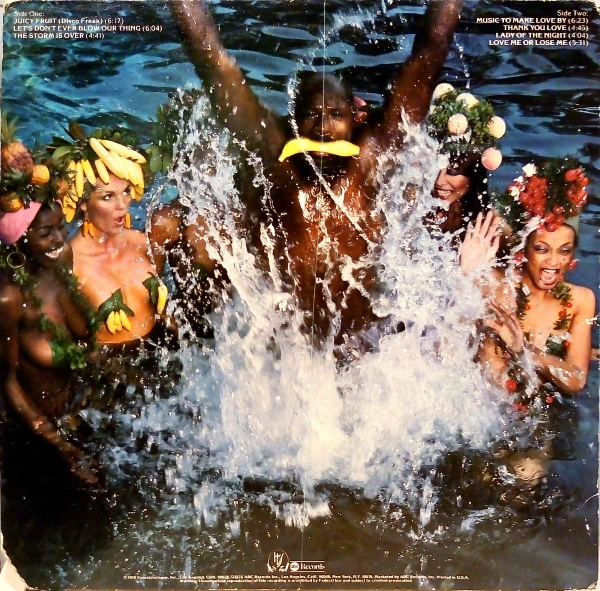Isaac Hayes – Juicy Fruit (Disco Freak) LP Plak - Görsel 3