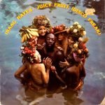 Isaac Hayes – Juicy Fruit (Disco Freak) LP Plak