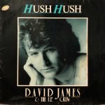 David James & The U.P. Crew ‎– Hush Hush 12'' Maxi Single Plak
