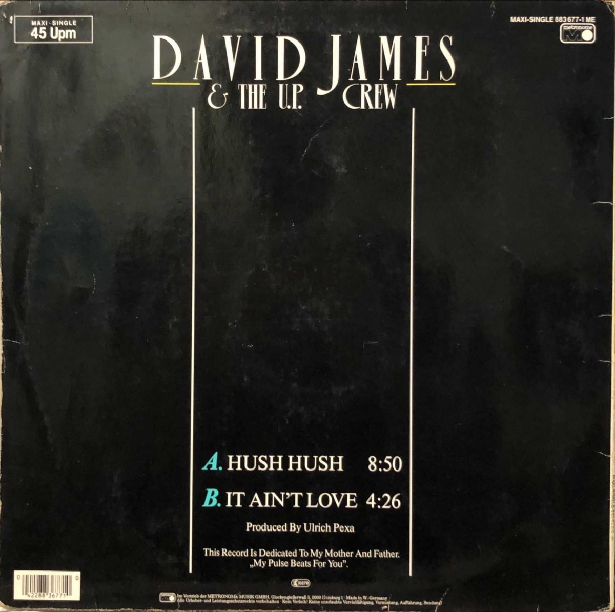 David James & The U.P. Crew ‎– Hush Hush 12'' Maxi Single Plak - Görsel 3
