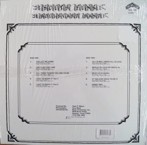 South Funk Boulevard Band – South Funk Boulevard Band LP Plak - Görsel 4