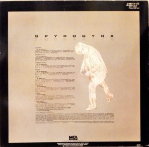 Spyro Gyra – Incognito LP Plak - Görsel 2