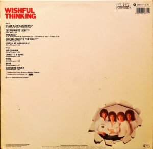 Wishful Thinking – Wishful Thinking LP Plak - Görsel 3