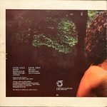 Sally Oldfield – Celebration LP Plak - Görsel 3