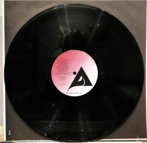 Yellow Magic Orchestra – Solid State Survivor LP Plak - Görsel 2