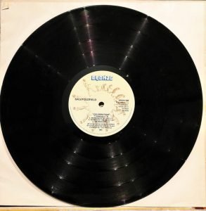 Sally Oldfield – Celebration LP Plak - Görsel 2