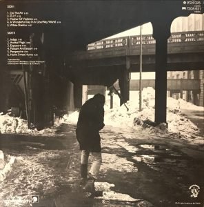 Peter Gabriel LP Plak - Görsel 2
