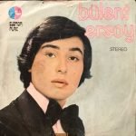 Bülent Ersoy ‎– Toprak Alsın Muradımı / Yalnızlığa Alıştım 45lik Plak - Görsel 2