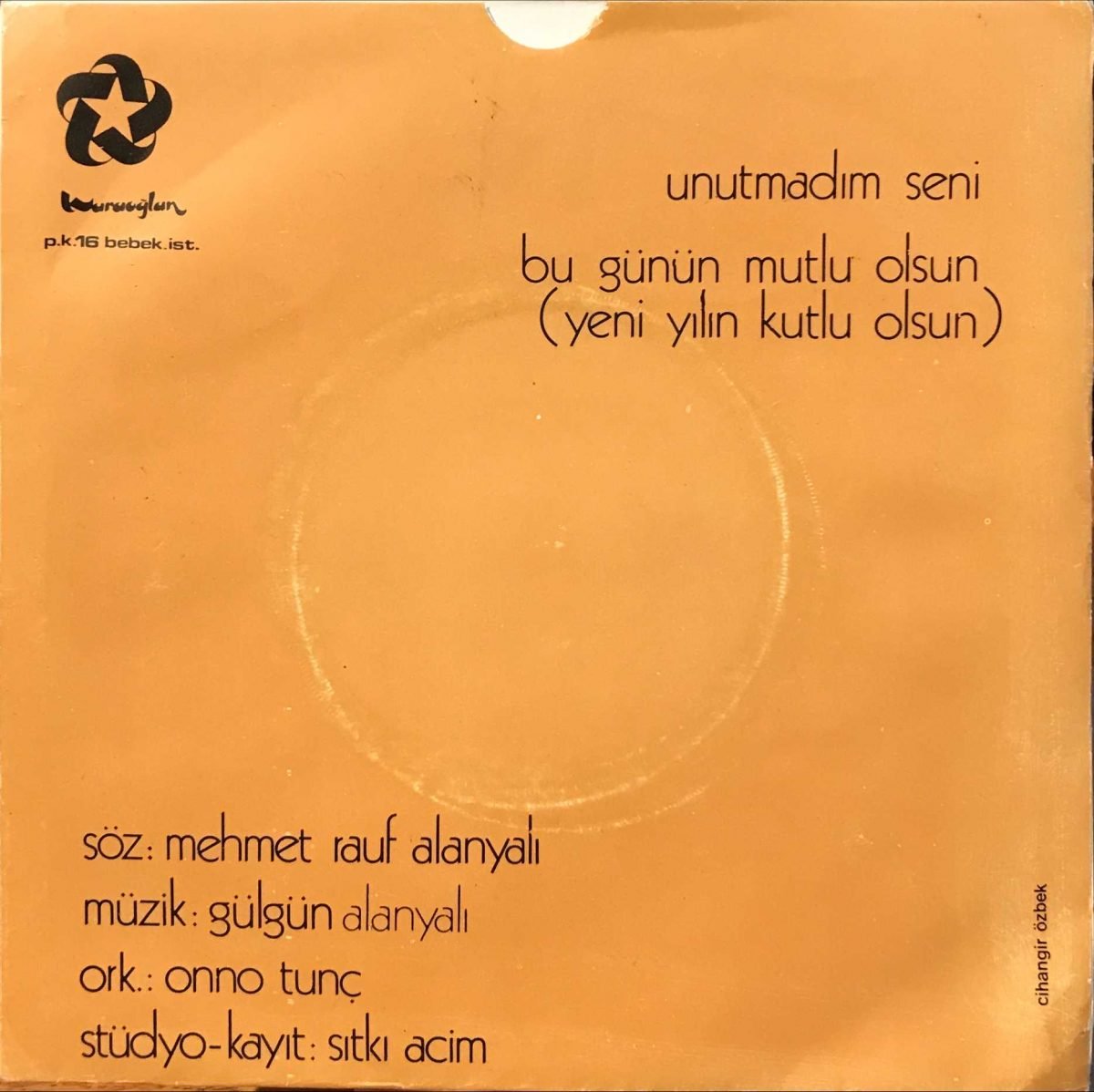 Gülgün – Unutmadım Seni / Bu Günün Mutlu Olsun 45lik Plak - Görsel 2