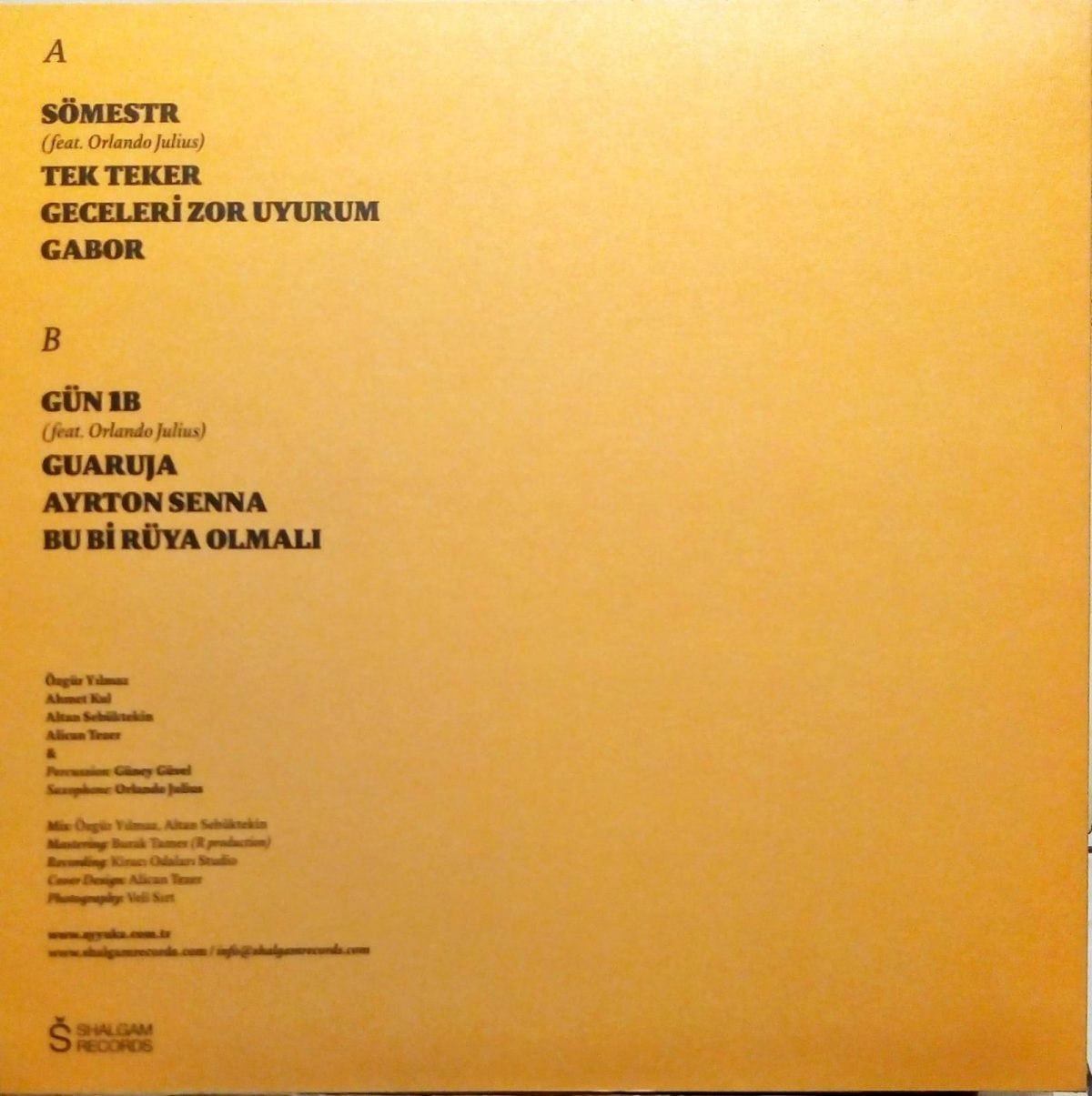 Ayyuka – Sömestr LP Plak - Görsel 2