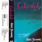 Çekirdek ‎– Siste Yürümek Kaset