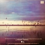 Echo And The Bunnymen – Heaven Up Here LP Plak - Görsel 4
