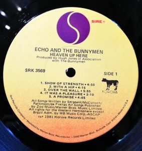 Echo And The Bunnymen – Heaven Up Here LP Plak - Görsel 2