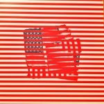 Tortoise – Standards LP Plak