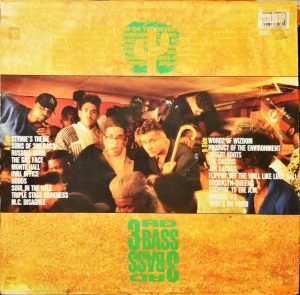 3rd Bass – The Cactus Al/Bum (The Cactus Album) LP Plak - Görsel 3