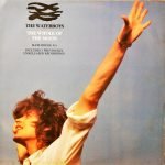 The Waterboys – The Whole Of The Moon 12'' Maxi Single Plak