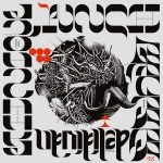 Grup Ses, Ethnique Punch ‎– Delidivan LP Plak