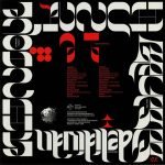 Grup Ses, Ethnique Punch ‎– Delidivan LP Plak - Görsel 2