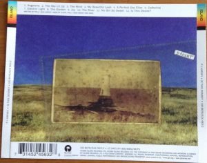 P J Harvey – Is This Desire? CD - Görsel 2