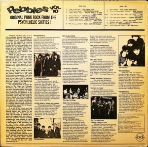 Pebbles Vol 10 LP Plak - Görsel 3