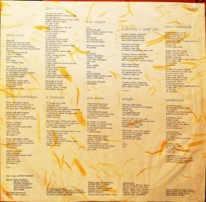 Pino Daniele – Mascalzone Latino LP Plak - Görsel 4