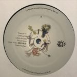 Berk Icli – Glimpses of an Eternal Bloom LP Plak - Görsel 3