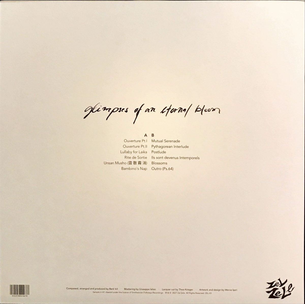 Berk Icli – Glimpses of an Eternal Bloom LP Plak - Görsel 2