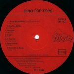 Dino Pop Tops 2LP Plak - Görsel 4