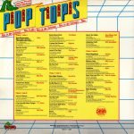 Dino Pop Tops 2LP Plak - Görsel 2