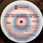 Biblical Gospel Singers – Pray For The Good Of The Land LP Plak - Görsel 3