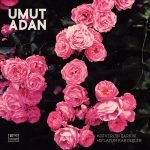 Umut Adan – Güvercin Şarkısı / Eflatun Kardeşler Yok 45lik Plak