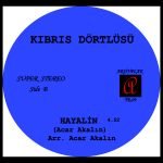 Kıbrıs Dörtlüsü ‎– Herşeyin Yalan / Hayalin 45lik Plak - Görsel 4