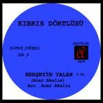 Kıbrıs Dörtlüsü ‎– Herşeyin Yalan / Hayalin 45lik Plak - Görsel 3