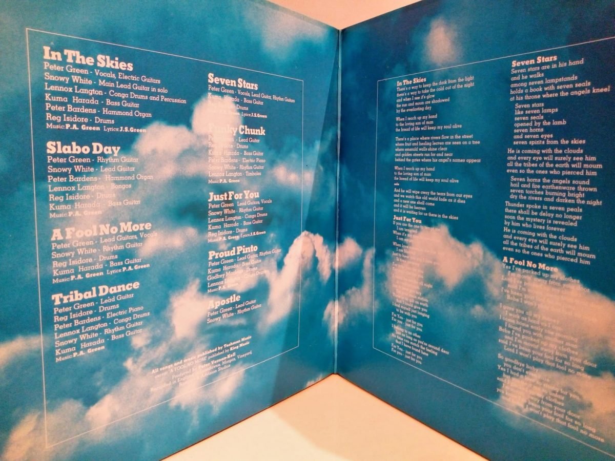 Peter Green – In The Skies LP Renkli Plak - Görsel 3
